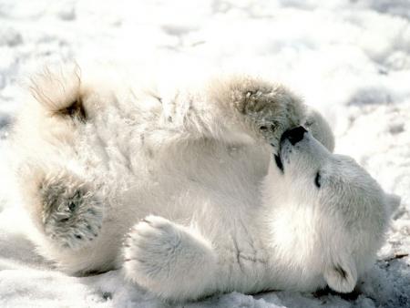 blanc