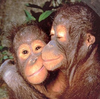 l'amour
